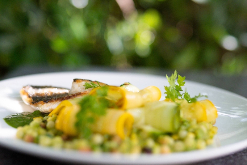 Le restaurant - Côté Cour - Saint-Mathieu-de-Tréviers - Restaurant Le Triadou